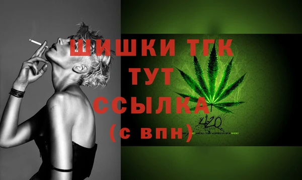 ПСИЛОЦИБИНОВЫЕ ГРИБЫ Медногорск