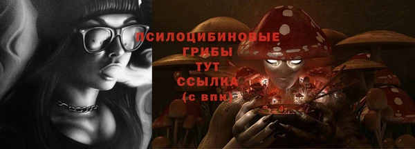 ПСИЛОЦИБИНОВЫЕ ГРИБЫ Медногорск