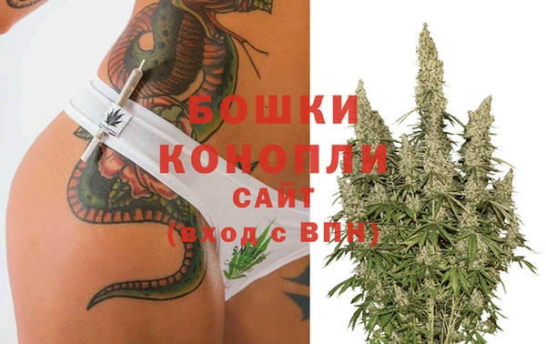 дживик Медвежьегорск
