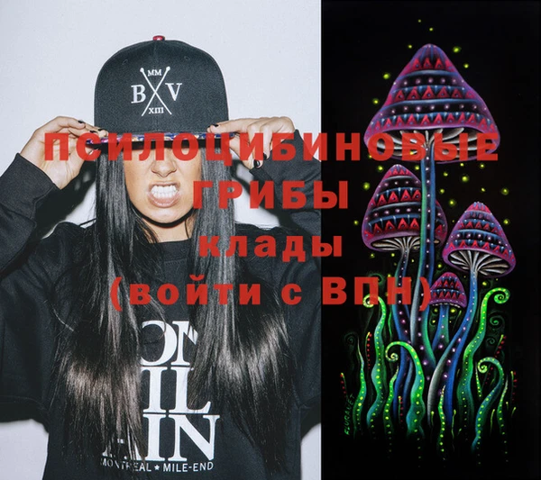 дживик Медвежьегорск