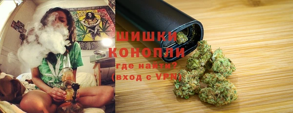 дживик Медвежьегорск